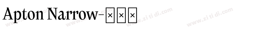 Apton Narrow字体转换